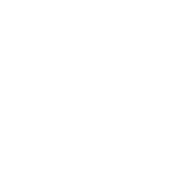 Digital Icon