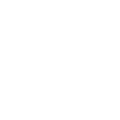 Planning and Consulting Icon