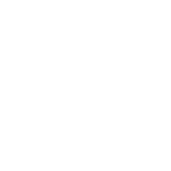 Public Relations Icon