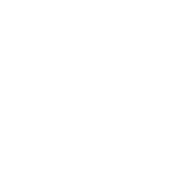 Social Media Icon
