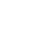 Advertising Icon