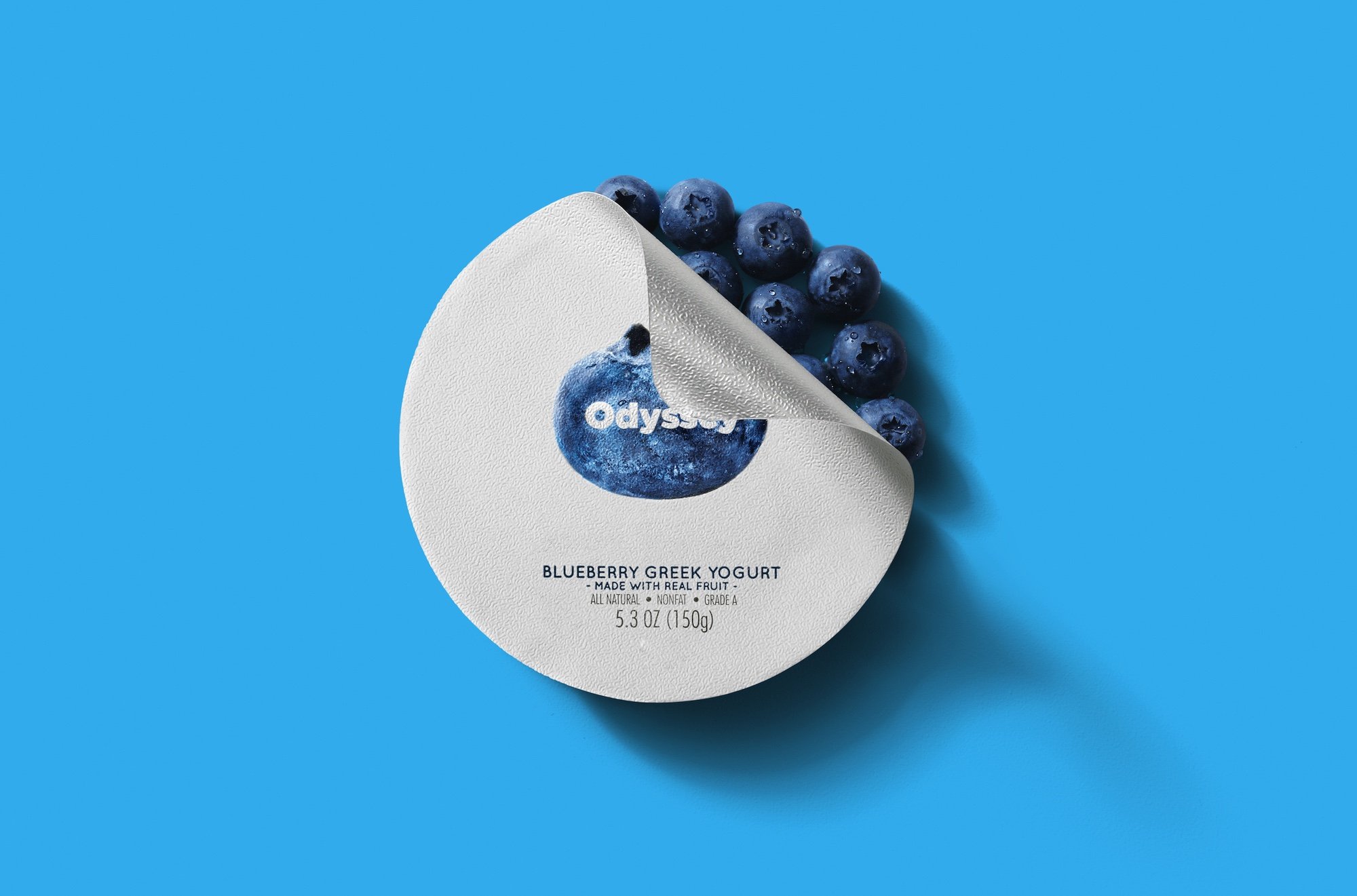 Odyssey Greek Yogurt Blueberry