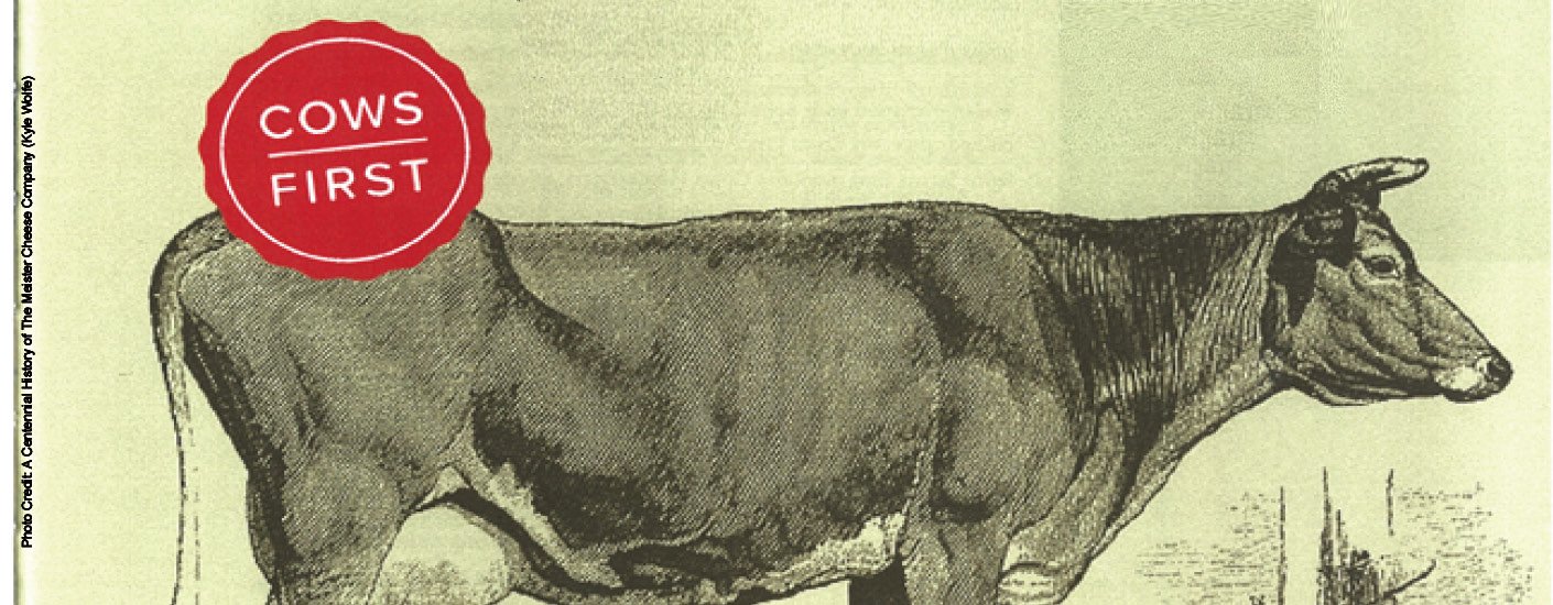 Earth Day Is Every Day in Marketing