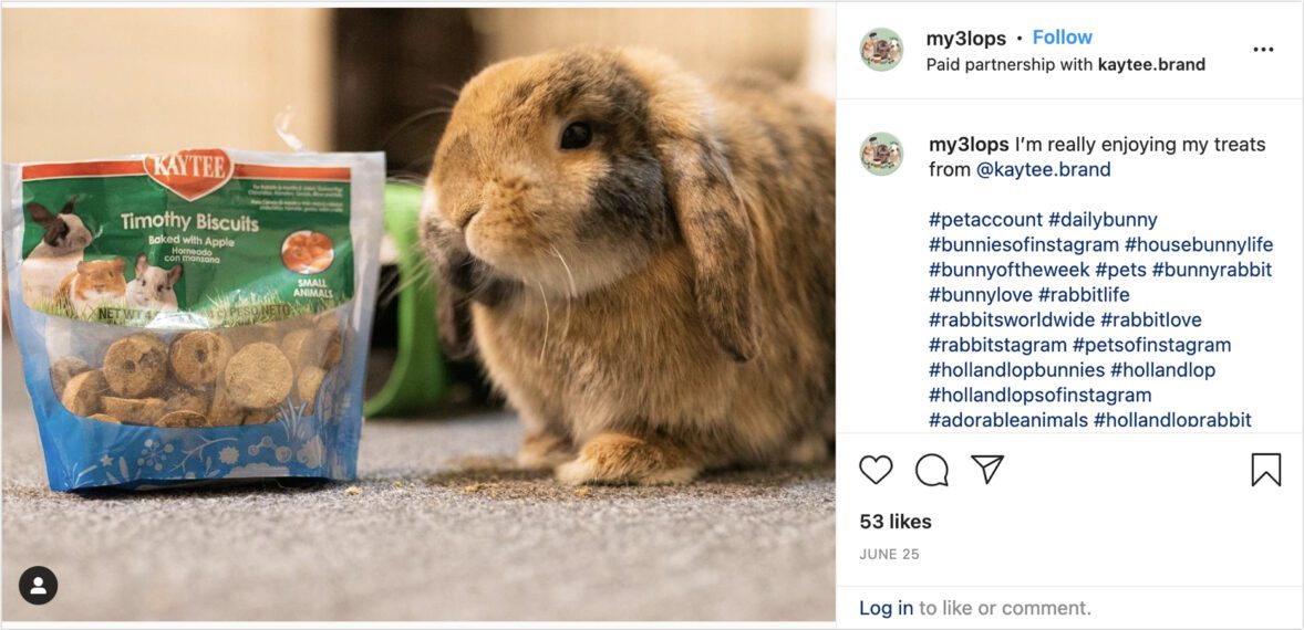 kaytee influencer