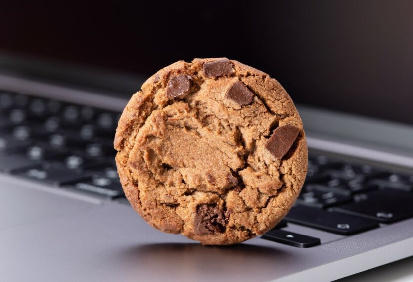 Cookie on laptop
